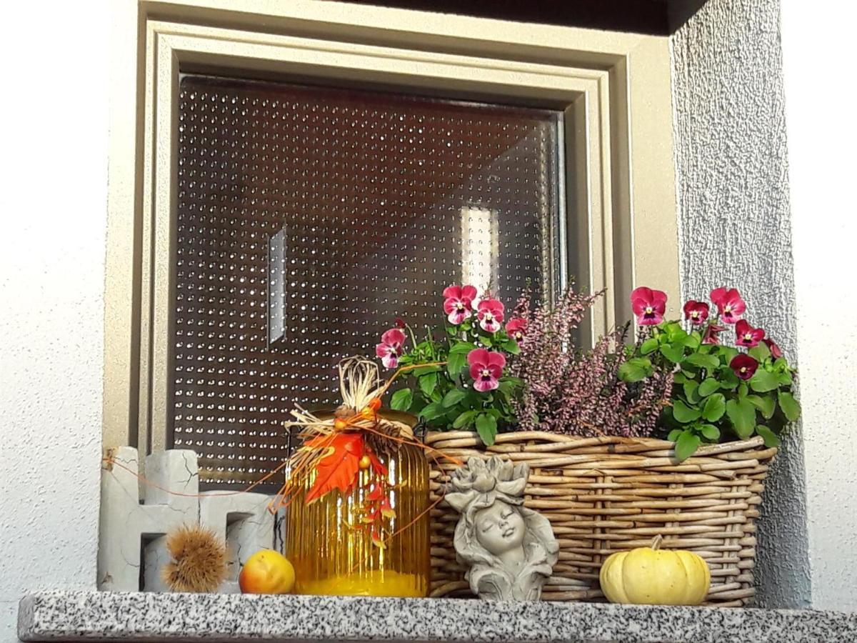 Ferienwohnung Am Gaesschen Losheim Ngoại thất bức ảnh